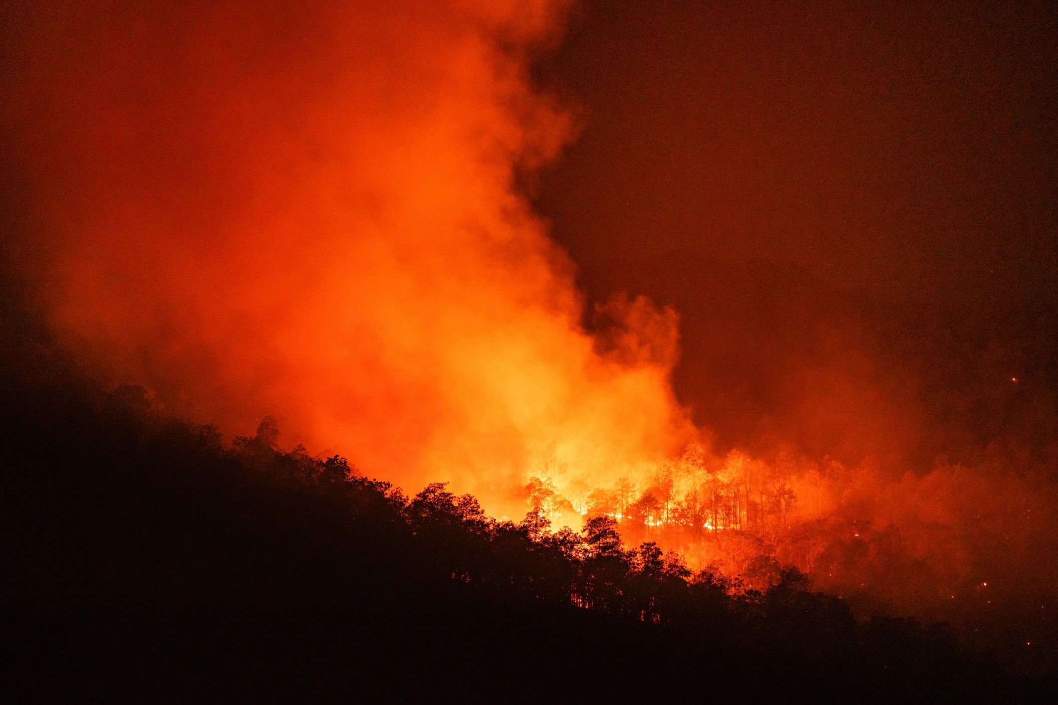 Incendio forestal con humo visible para monitoreo de riesgo